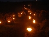 Festival site walkway - night